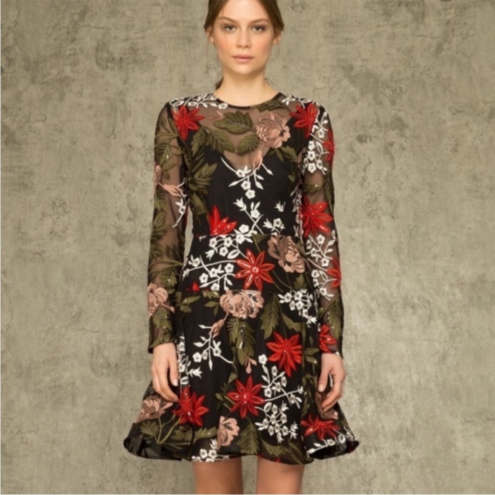 Bronx And Banco Bonita Sequin Embroidered Mesh Floral Dress Size Small, Us 4